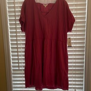 Terra & Sky Pink Babydoll Dress